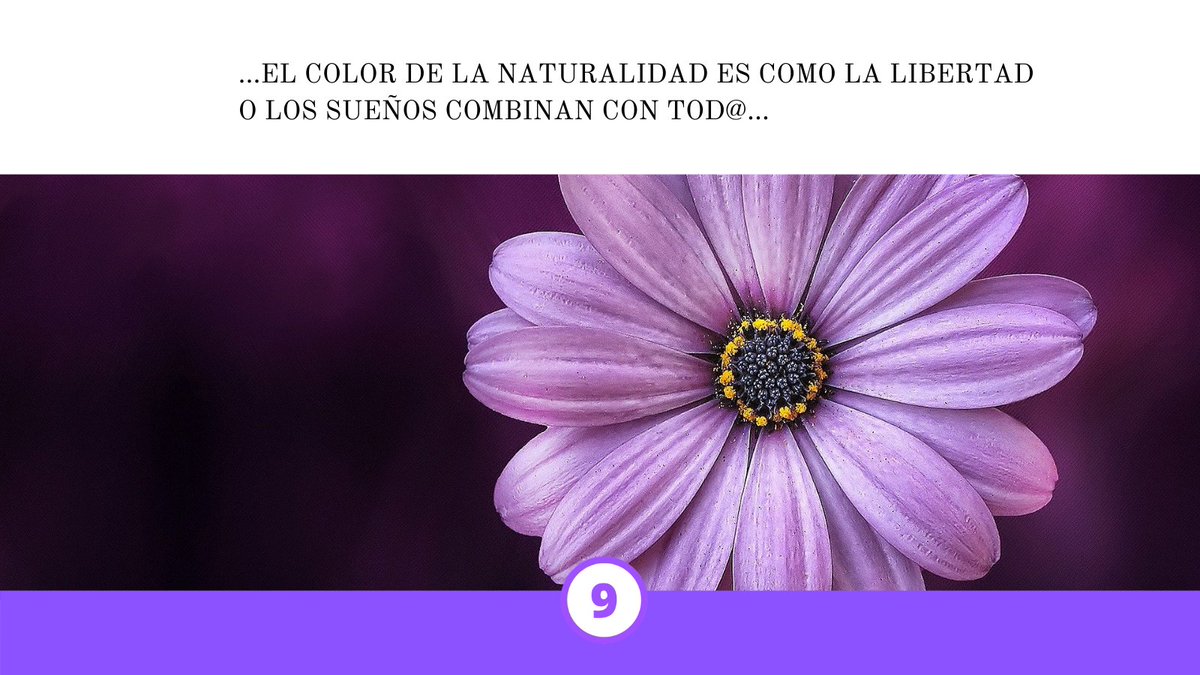 Feliz #8M2021

"Abuela, madre, hermana, hija...el color de la naturalidad es como la libertad o los sueños combinan con tod@"

Nº9 #CreandoProyectosDeVida