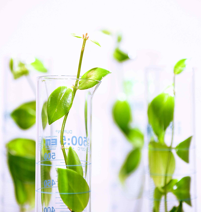 La_FIPEC's tweet photo. #JeudiPhoto De plus en plus d’industriels, notamment dans le secteur de la #parachimie et représentés par la #FIPEC, placent les produits #biosourcés au cœur de leur stratégie. 🌱 https://t.co/UCzKtou1j2 https://t.co/gCU1uIiiEK