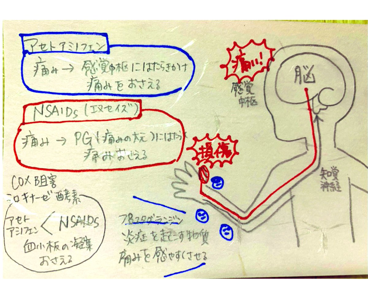 おたんこナース おたんこナース