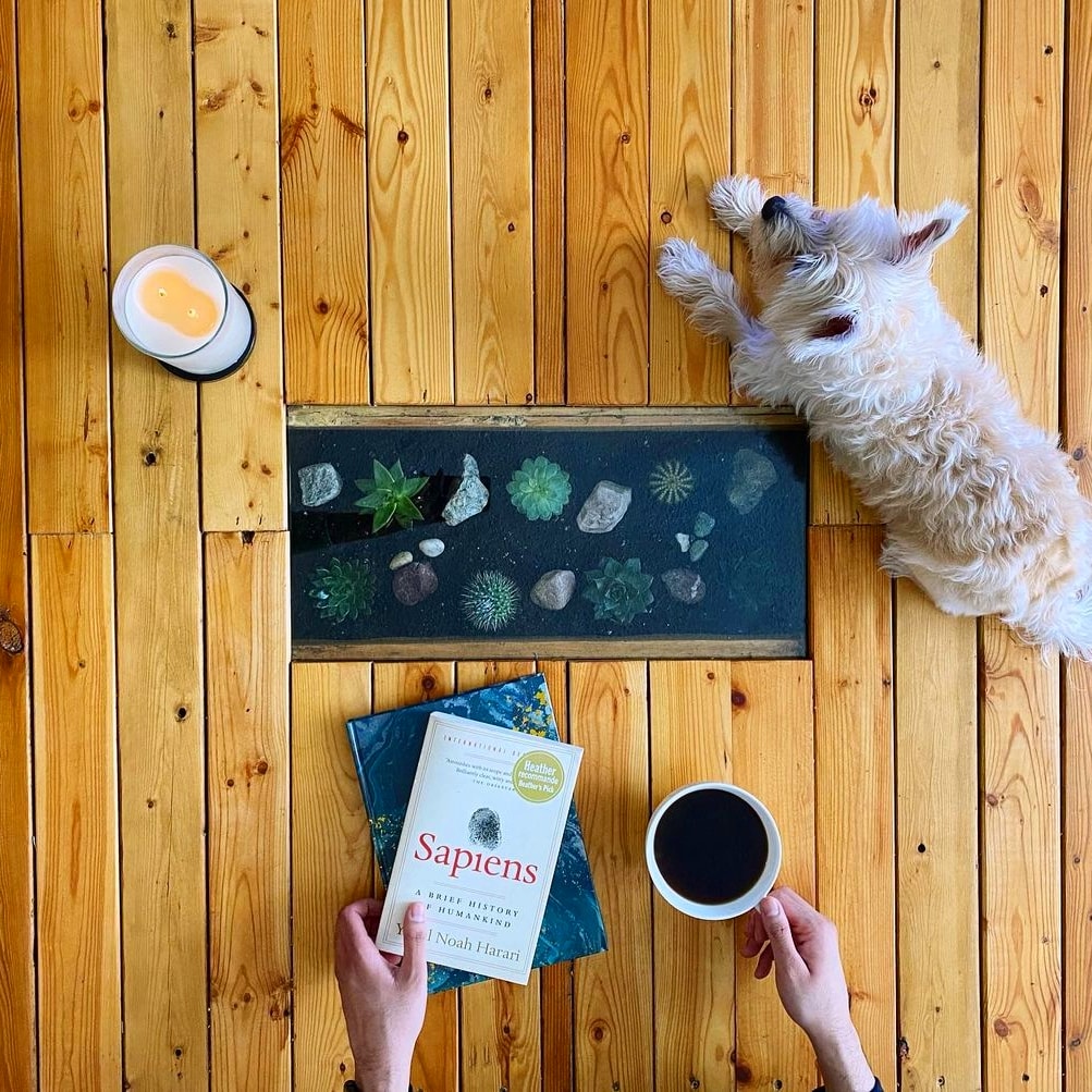 PottedPetPals's tweet photo. Take some time out of your busy schedule to relax 🧘🏽‍♂️🐶 #mondaythoughts 📸IG:sunnyplants_ https://t.co/1jje2lEm0K