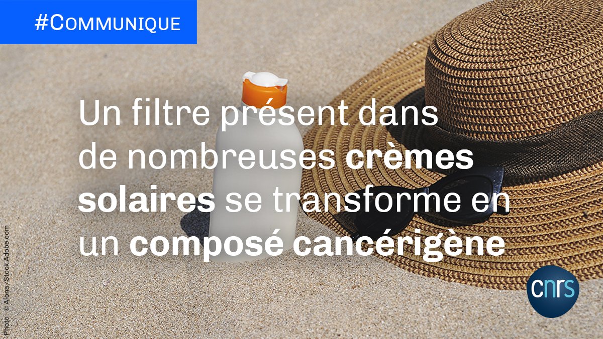 CNRS's tweet image. #Communiqué 🗞️ | Filtre organique de protection solaire fréquemment utilisé dans l’élaboration des écrans solaires et crèmes anti-âge, l’#octocrylène se dégrade au sein même des flacons en un composé connu, cancérigène et perturbateur endocrinien...

➡️ cnrs.fr/fr/un-filtre-p…