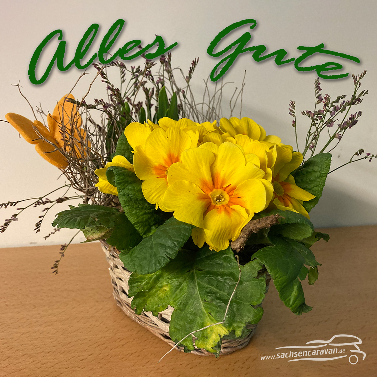 Frauen von heute warten nicht auf das Wunderbare, sie inszenieren ihre Wunder selbst.
(Katharine Hepburn)
Liebe Kundinnen, wir wünschen Euch einen wunderbaren Weltfrauentag.
#frauentag #glückwünsche #allesgute #InternationalerFrauentag #InternationalWomensDay #IWD2021