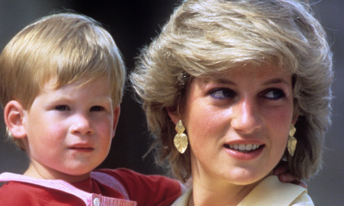 IrishQuilter13's tweet photo. I’m betting, there’s a Princess in heaven tonight who is very proud of this little boy! #HarryandMeghanOprah #BritishMonarchy #RoyalFamily https://t.co/zc6rnWwQhK