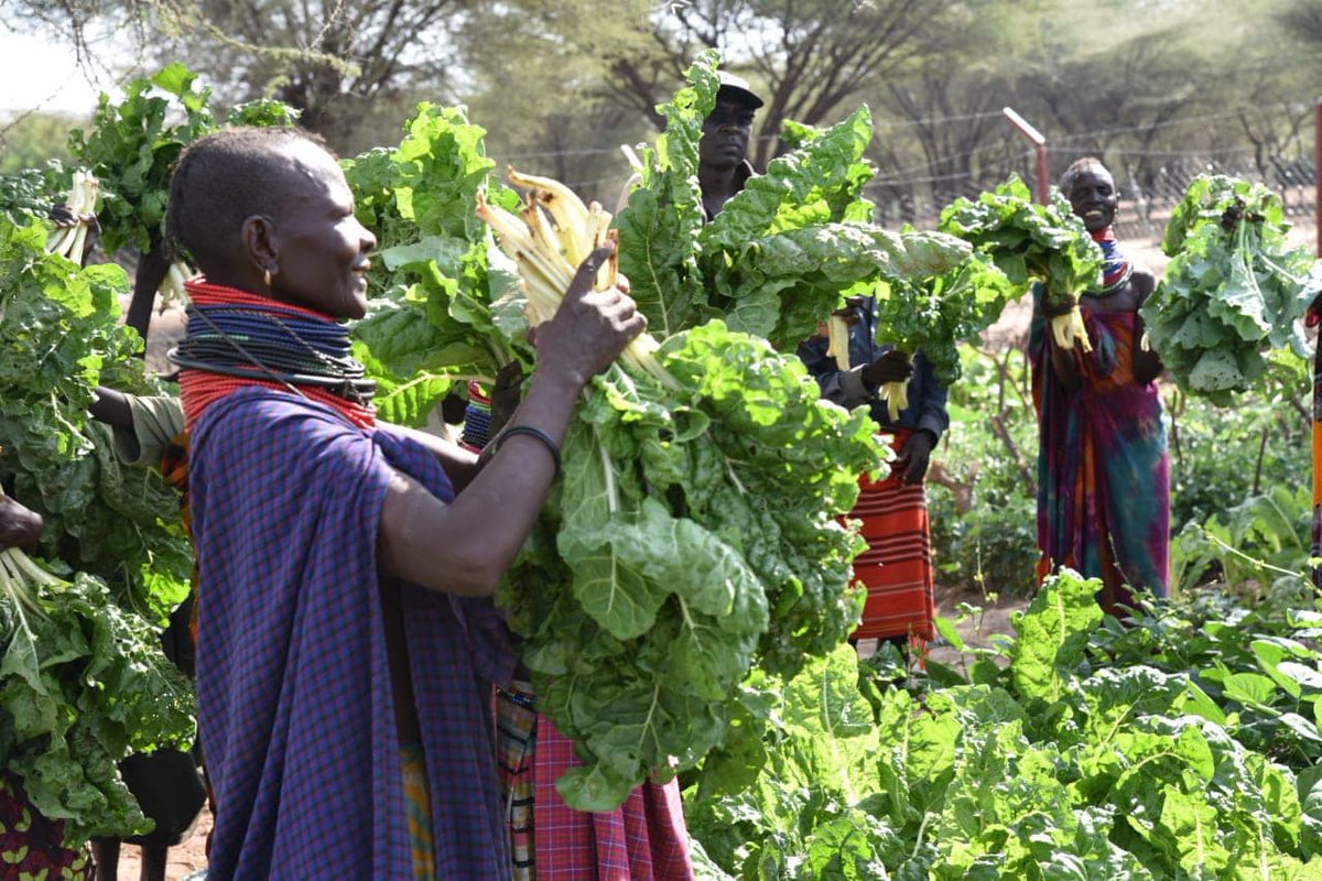 Agric Finance Corp tweet media