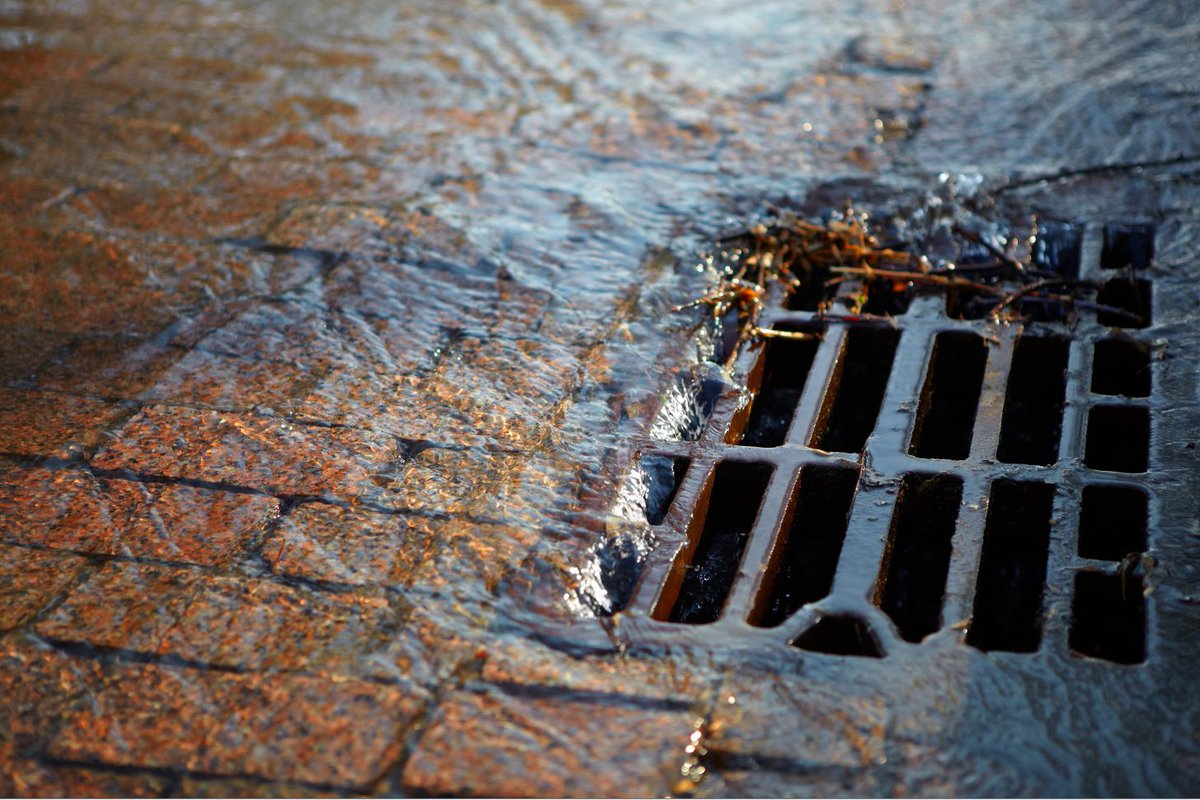 Also, check to make sure your gutters aren’t broken or leaking. Ensure that all drains on your property are open and check the stormwater drains in front of your property.