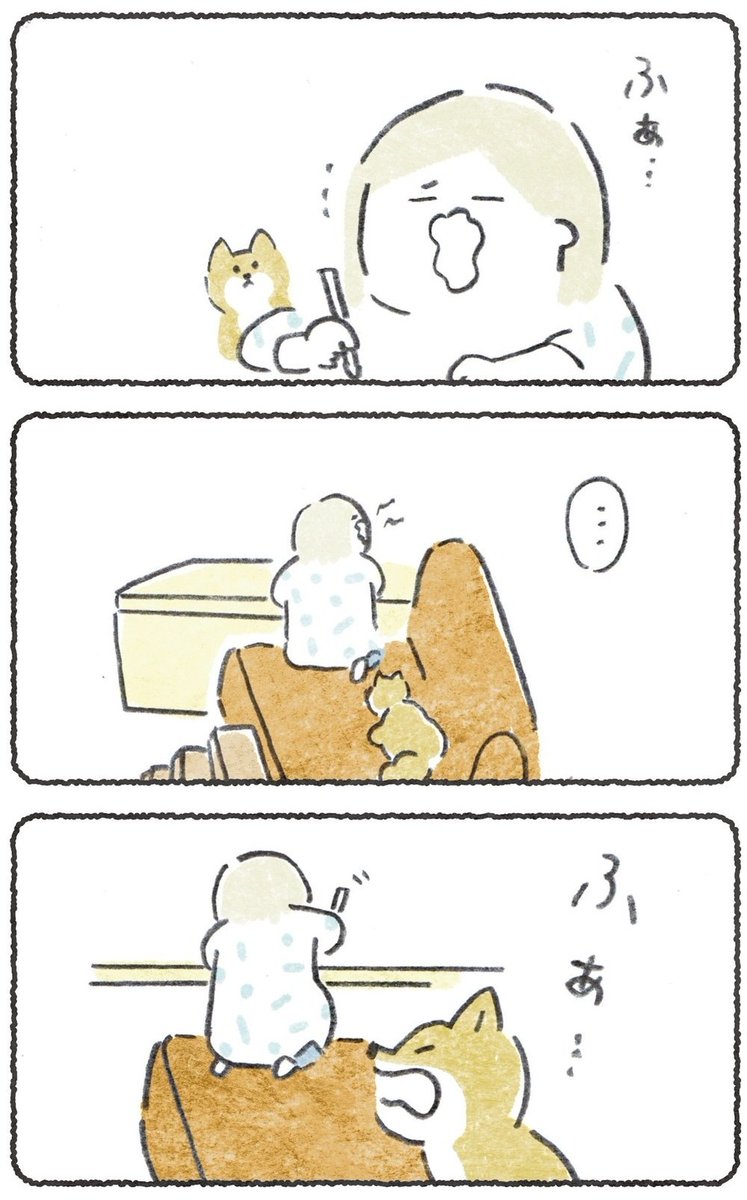 飼い主のあくびがうつっちゃうのかわいい好き (1/2) 