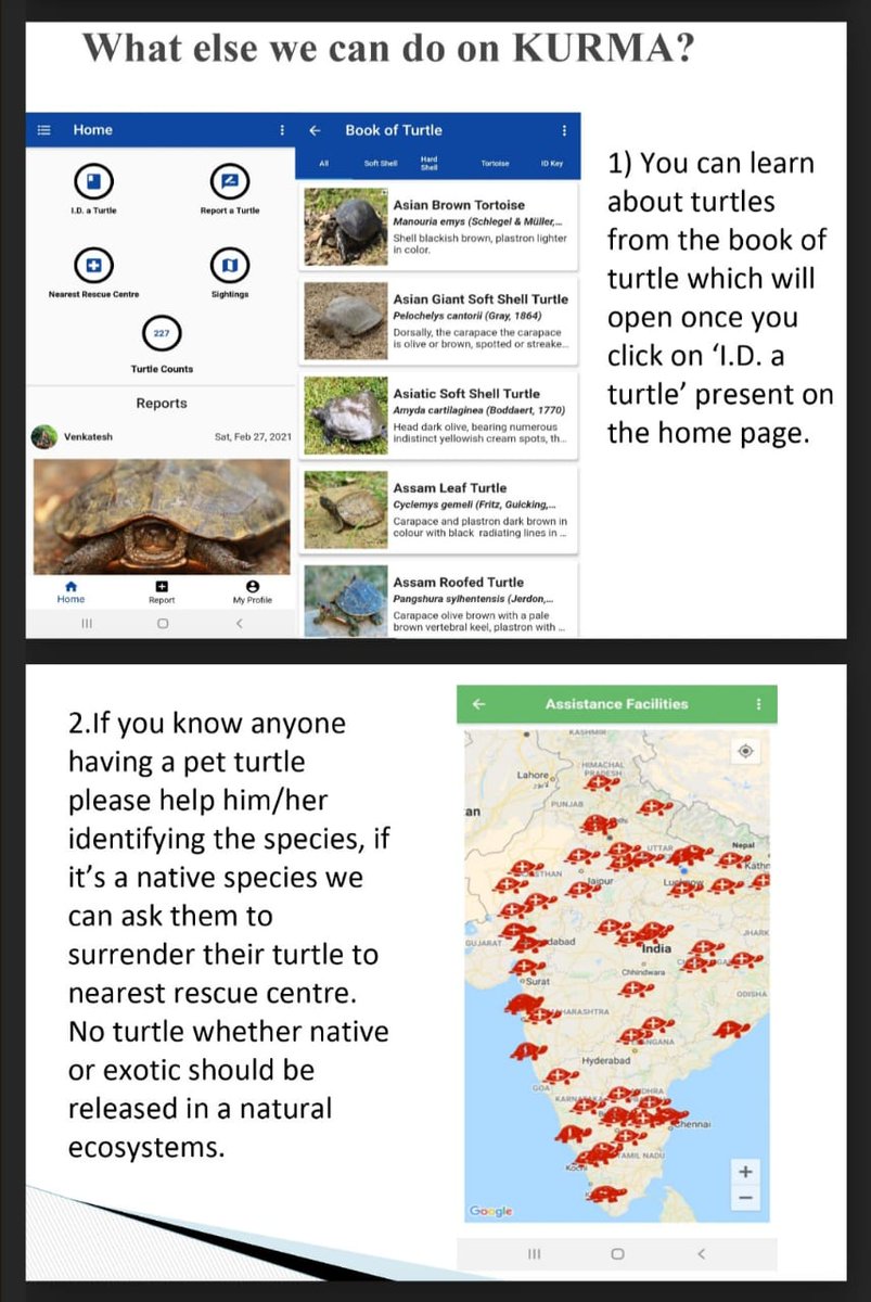IndianItcan's tweet image. This lecture was a part of a 15 day online certificate course on Nature and Wildlife. 
Mr. Tomar talked about the freshwater #chelonians found in India and also educated the participants about #ITCAN and #Kurma mobile App.