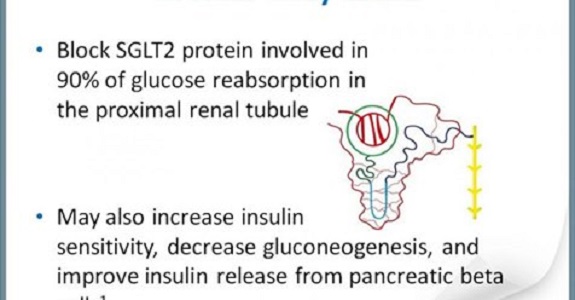howtorelief's tweet photo. #SGLT2 inhibitors are a class of prescription medicines that are FDA-approved for use with diet and exercise to lower blood sugar in adults with type 2 diabetes.
#Medicines #sglt2_inhibitors
https://t.co/oo1KuSJWOP https://t.co/86t1LgC7IM