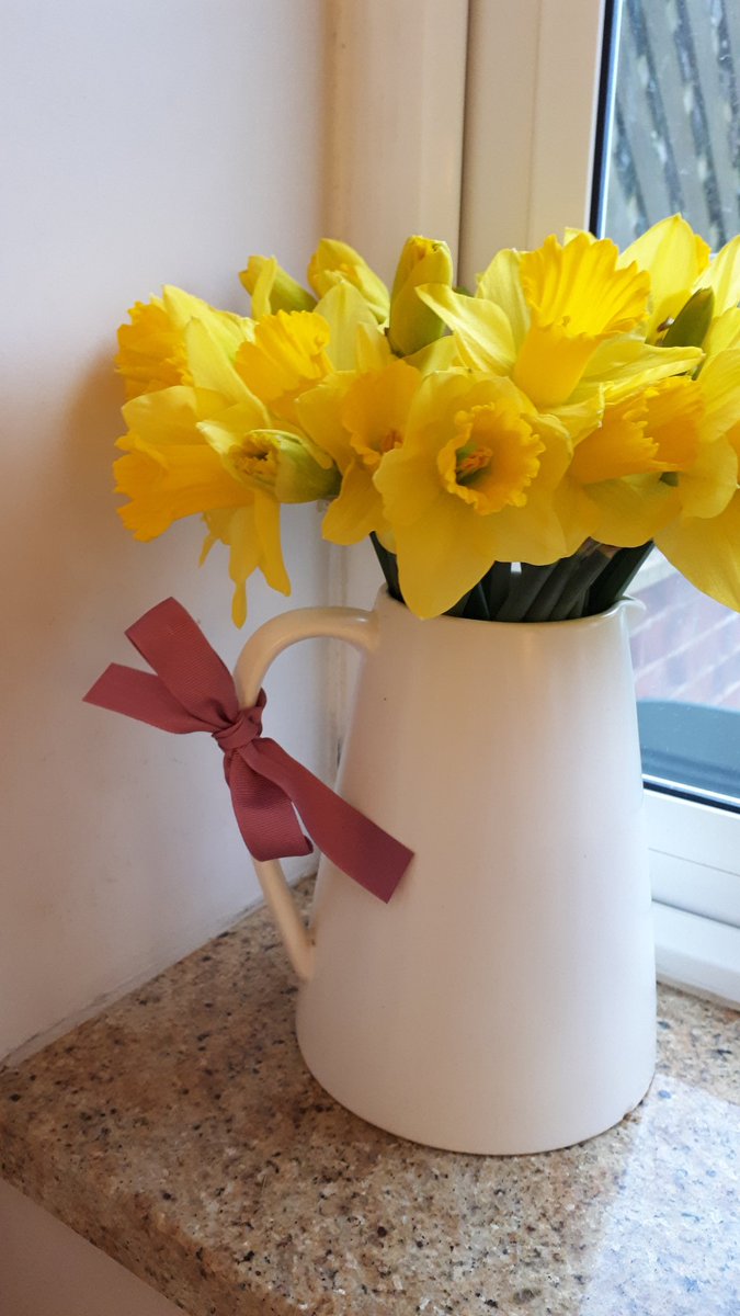 Happy International Women's Day to all.Purple to mark the day WFH style 👇appreciative of all the amazing women I have the privilege  of knowing - remember we can ALL #ChooseToChallenge2021 every day against all inequality  #InternationalWomensDay <a href="/STHODD/">Organisational Development STH</a>