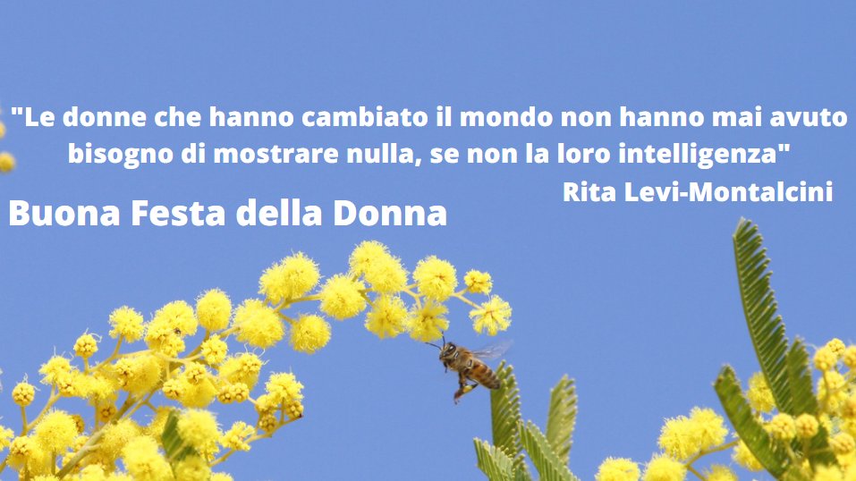 Fised4Future's tweet photo. Il Mondo per cambiare in meglio ha bisogno soprattutto di voi donne. Ancora auguri a tutte voi. #HappyWomensDay2021 #festadelladonna #8Marzo #8Marzo2021 https://t.co/M3fWS4lTKN