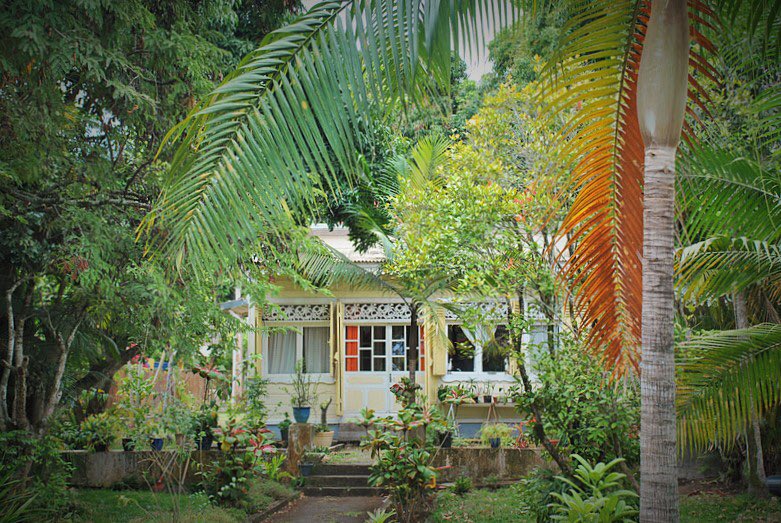 [7 bonnes raisons de rester à la case] Alors que le printemps nous fait de l’œil, nous voici de nouveau confinés à la maison. 
A <a href="/ReunionTourisme/">Réunion Tourisme</a> #volcanictrip #islandtrip #ileintense #ailleursenfrance #lareunion 
>> delautrecotede.com/2021/03/04/7-b…