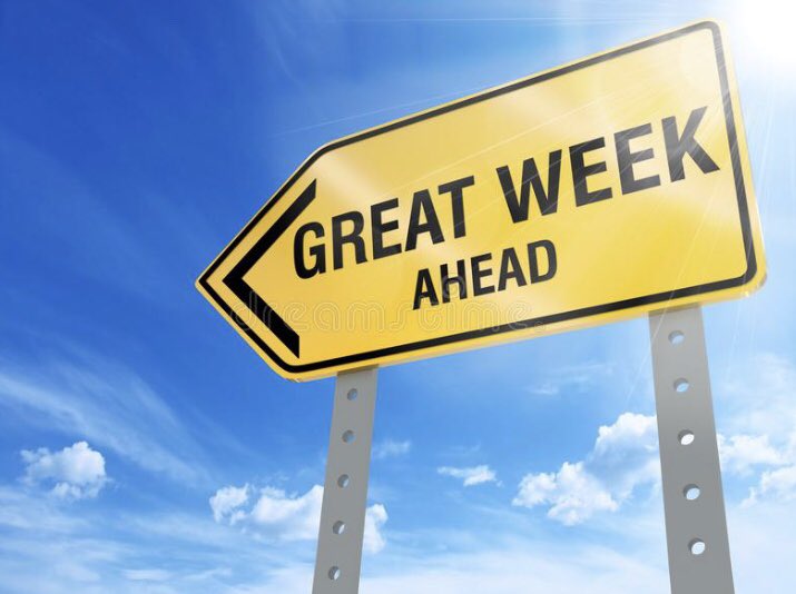 Meadow Vale Primary School - Year 6