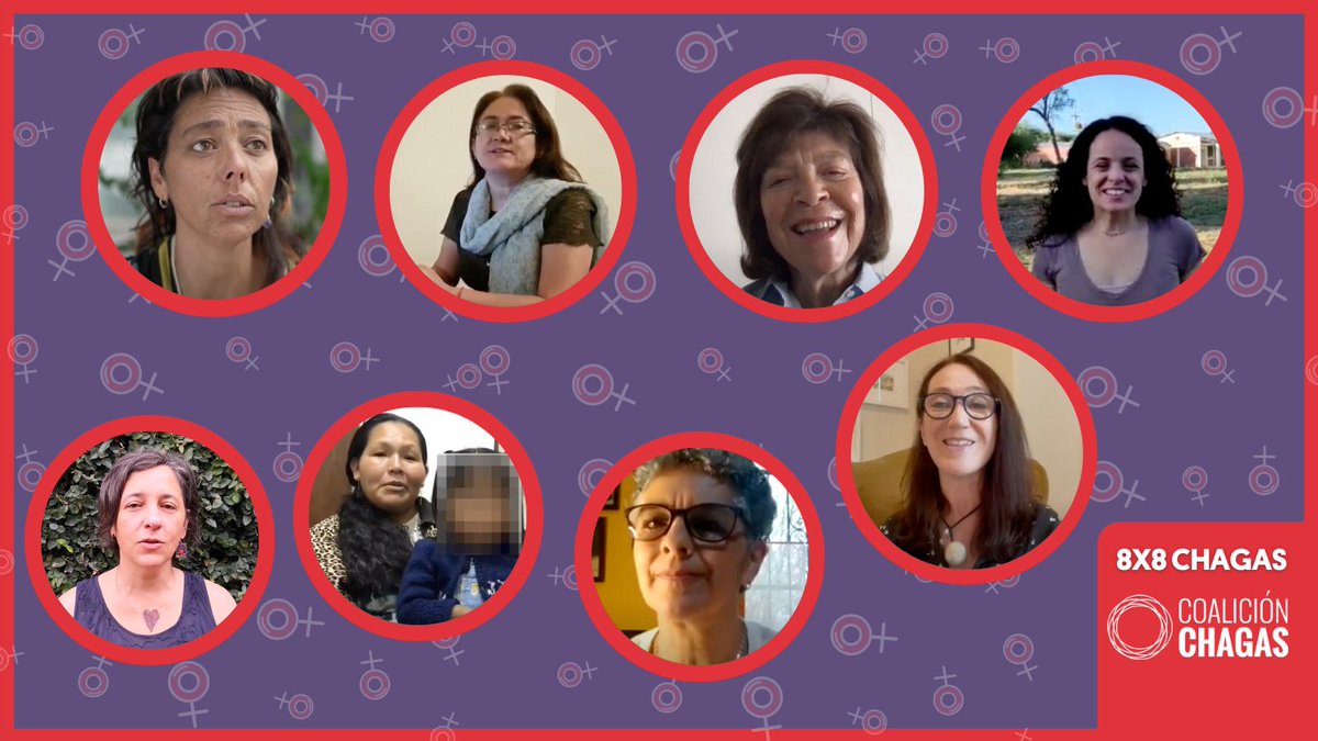 ISGlobal (@isglobalorg) on Twitter photo ¡Feliz #DíaMundialMujer #8M2021!
👩🏾8⃣mujeres de la comunidad de #Chagas ponen su voz y su rostro a la lucha contra la enfermedad. Son afectadas, médicas, educadoras...
Pensar en eliminar la enfermedad pasa por ellas. ¡Gracias <a href="/coalicionchagas/">Coalición Chagas</a> por este #8X8!
Conócelas aquí👇 ¡Feliz #DíaMundialMujer #8M2021!
👩🏾8⃣mujeres de la comunidad de #Chagas ponen su voz y su rostro a la lucha contra la enfermedad. Son afectadas, médicas, educadoras...
Pensar en eliminar la enfermedad pasa por ellas. ¡Gracias <a href="/coalicionchagas/">Coalición Chagas</a> por este #8X8!
Conócelas aquí👇