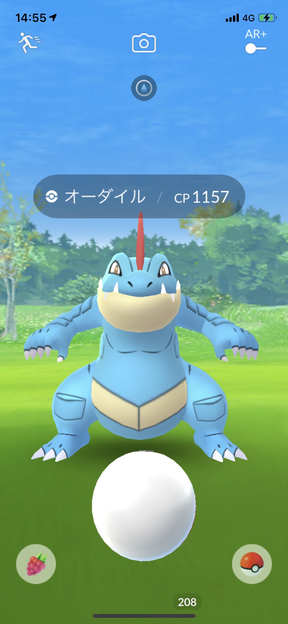 Nyaokki はるのすがた 1分後にゲットされるワニ 野生のオーダイル初めて見た D ポケモンgo オーダイル T Co Qjmwrooh1o Twitter