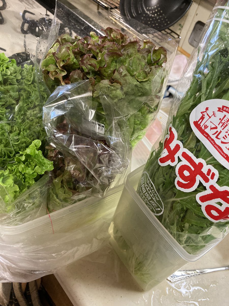 野菜の保存 Twitter Search 野菜の保存 Twitter Search
