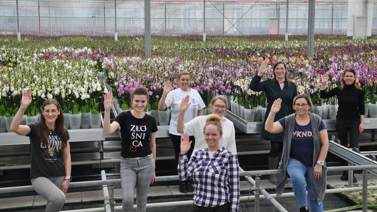 PietVijverberg's tweet photo. Today we celebrate the achievements of women. 💪 It's International Women's Day! The theme of 2021 is 'Choose To Challenge'. A challenged world is an alert world and from challenge comes change. Hand up high to show you're in! ✋ #ChooseToChallenge #IWD2021 https://t.co/B2RiFKg1Jc