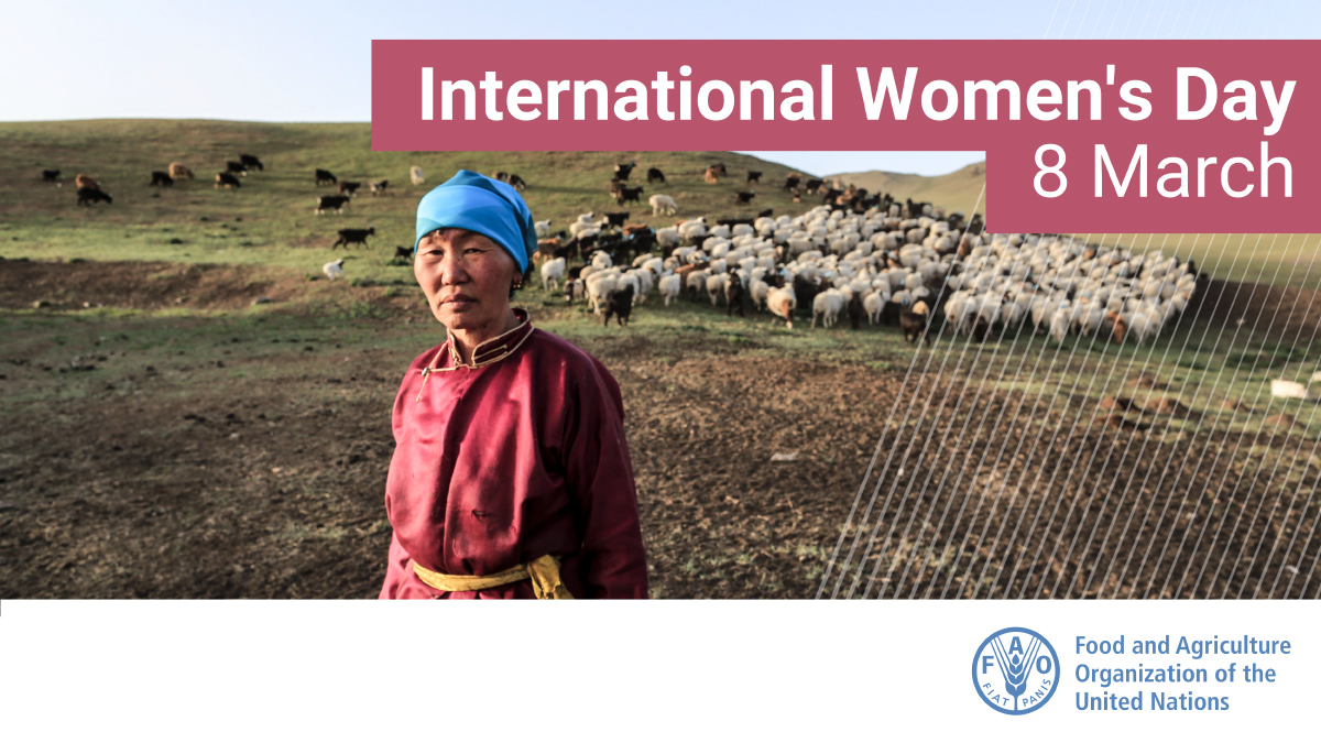 FAOLivestock's tweet image. ♀️ Women are the silent guardians of #livestock diversity.  

As active breeders and conservers of local breeds, they play a major role in managing animal genetic resources.
 
👀👉tiny.cc/sudakz

#IWD2020 #GenerationEquality