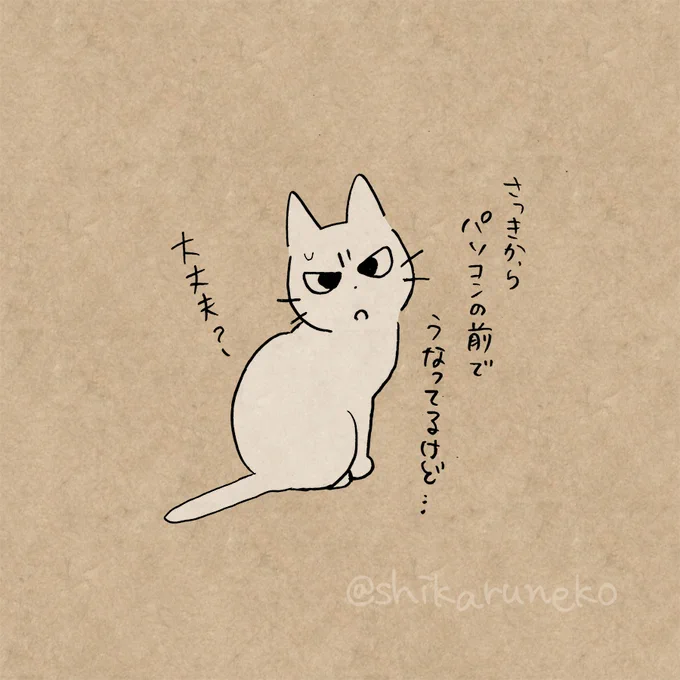 パソコン内のデータを整理しない人を叱ってくれる猫 