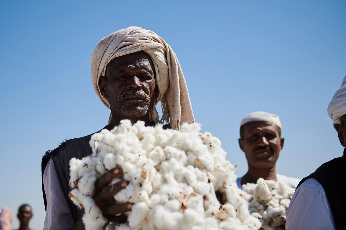 nasabdulbari's tweet photo. إن الم��ارعين، الذين يعملون بجدٍ وصمتٍ على امتدادِ السودان، برغم عسر الأحوال، يبتهجون ويفاخرون بزراعة وحصاد القطن، أو بزراعة وحصاد المحاصيل الأخرى كالقمح والذرة والسمسم، يستحقون دعماً مستمراً وتشجيعاً دائماً من دولتنا، التي تنفق ملايين الدولارات كل شهرٍ لدعم استيراد بعض السل��. https://t.co/U15Ap9m2pt