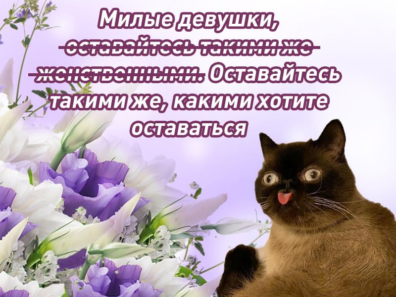 ann_lavellan's tweet photo. Поздравляю дам #8марта https://t.co/MtORS8POVx