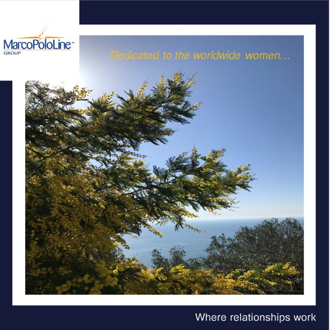 MARCOPOLOLINE GROUP (@mplmpl2006) on Twitter photo 