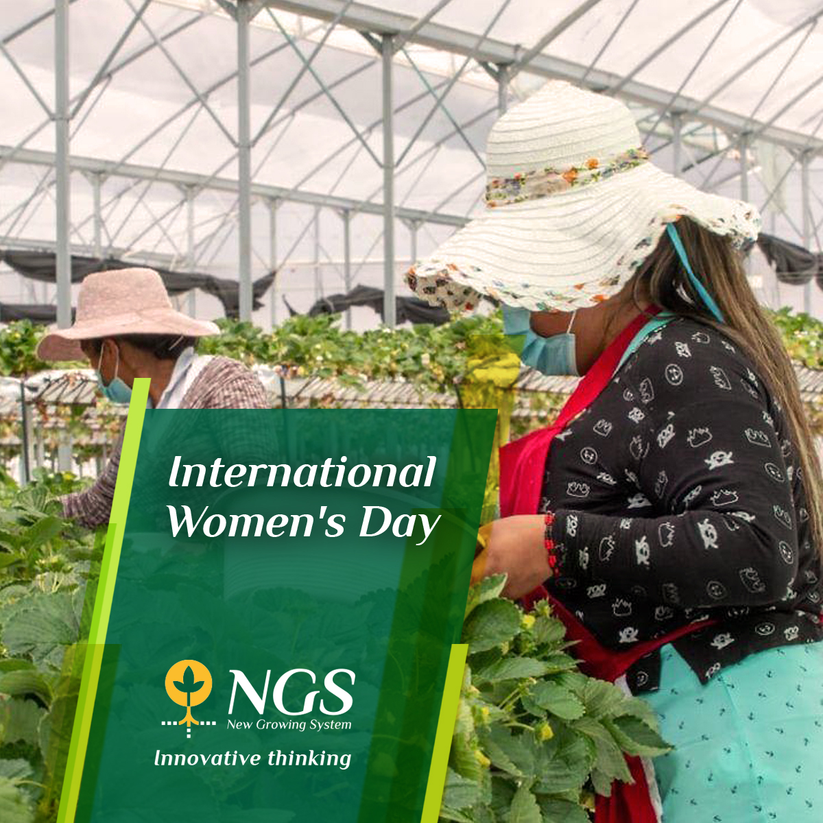 NGSystemNGS's tweet photo. #ENG  This year, the theme of International Women's Day is "Women leaders: For an equal future in the world of Covid-19".

From NGS we support the full and effective participation and leadership of women in all areas of life.
💻https://t.co/aNsn78tWv3 
#WomensDay https://t.co/sAZHtkMFvn