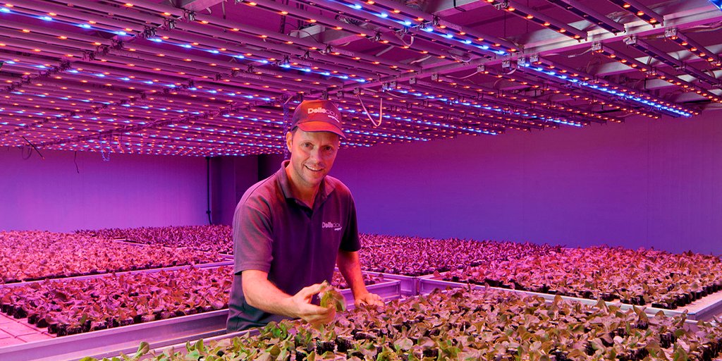 SignifyEspana's tweet photo. ✔️ Lechugas frescas todo el año.
✔️ Fórmulas de cultivo perfectas.
✔️ Control íntegro de la producción.
Son algunas de las ventajas de las que disfruta #Deliscious gracias a los módulos de producción #GreenPower #LED de Philips ➡️ https://t.co/WKX7kycBFU
#agriculturaurbana https://t.co/sUZ0Y4nEY9