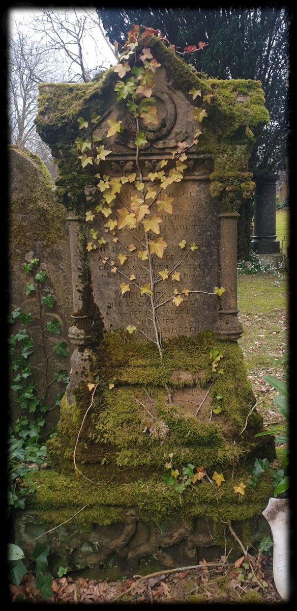 TheCemetress's tweet photo. Good Morning Everyone π²β°βπ½π€
Hope you all have a beautiful day
#YesterdaysWalk
#Trees
#isolatedCross
#PrettyGravestones
#WhatMoreCouldAGirlAskFor
#TreePeople
#Mossome https://t.co/c8qZZ5BclA