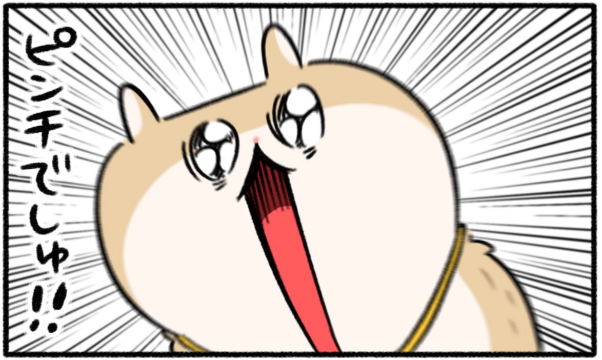 #生きぬけ爆走クソハムちゃん
本日59話更新日です!
https://t.co/z7BLZdYurD
続きはマンガワンで!
#コビハムちゃん 