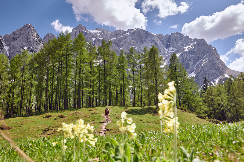 SloveniaInfo's tweet photo. 🌸 INTERNATIONAL WOMEN'S DAY🌸
✔️Celebrate women's achievement.
✔️Raise awareness against bias.
✔️Take action for equality.
#ifeelsLOVEnia #STBteam #slovenia #internationalwomensday #IDW2021 https://t.co/wC29WMIY3H