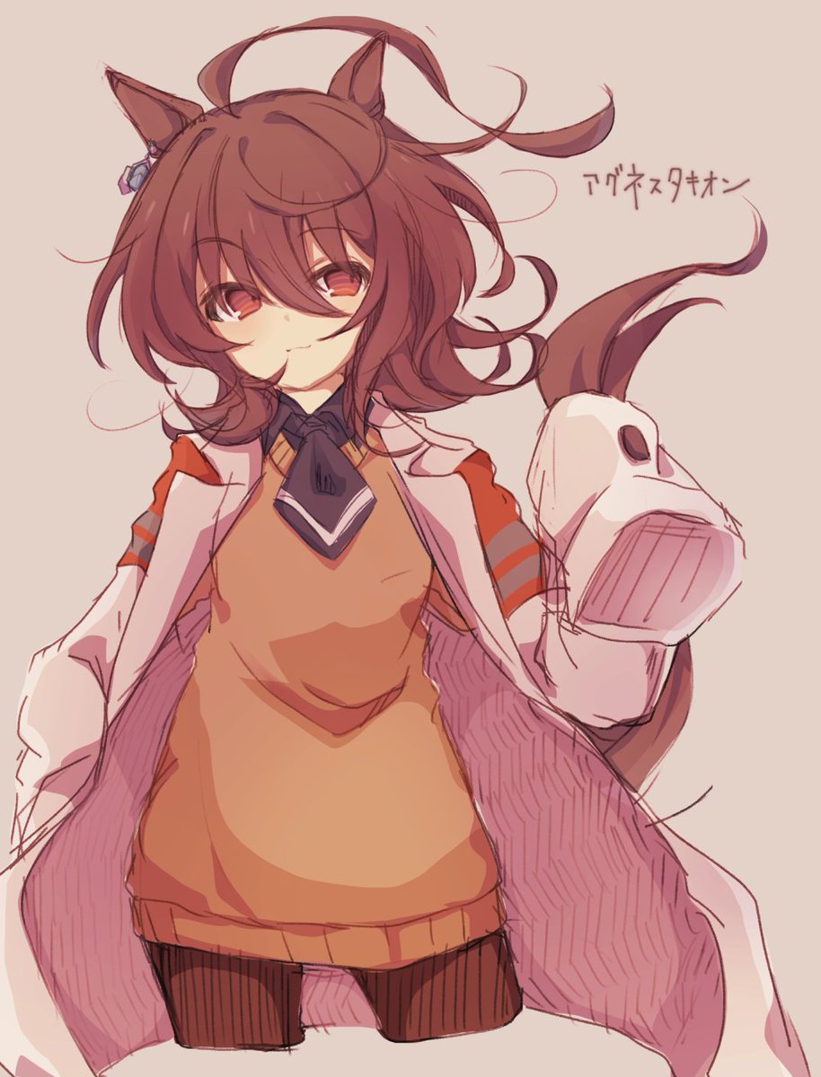 agnes tachyon (umamusume) 1girl solo animal ears horse ears tail horse tail brown hair  illustration images