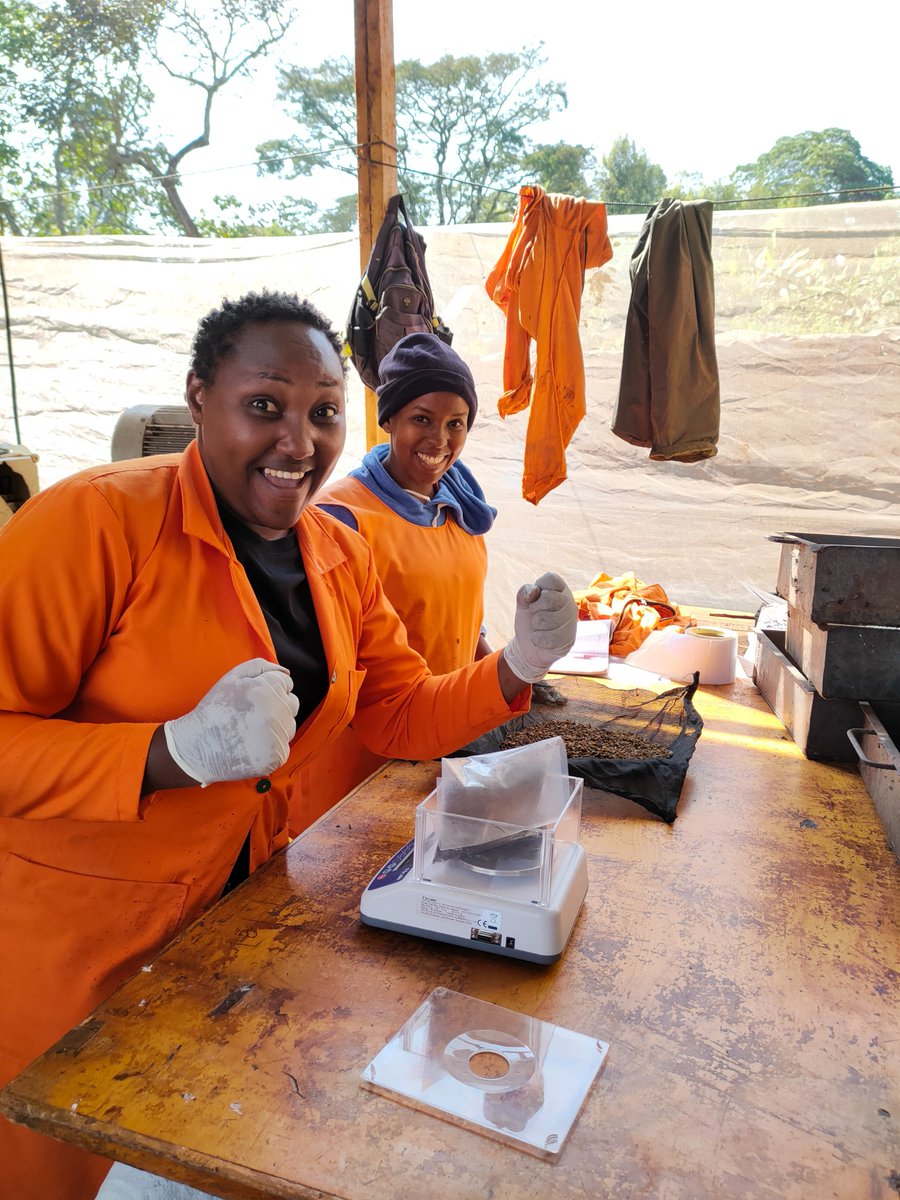 In honour of #IWD2021, we choose to celebrate some of the women kicking ass at <a href="/insectipro/">Insecti Pro</a> and enjoying the fruits of an inclusive work environment. #ChooseToChallenge. #insectprotein #circulareconomy #sustainableagriculture