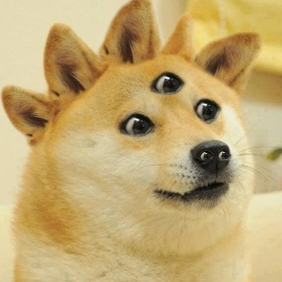 My Dad wont care about cryptos for nothing...
Guess ill have a lot of questions later about it huh? 
#dogecoin #doge #dogearmy