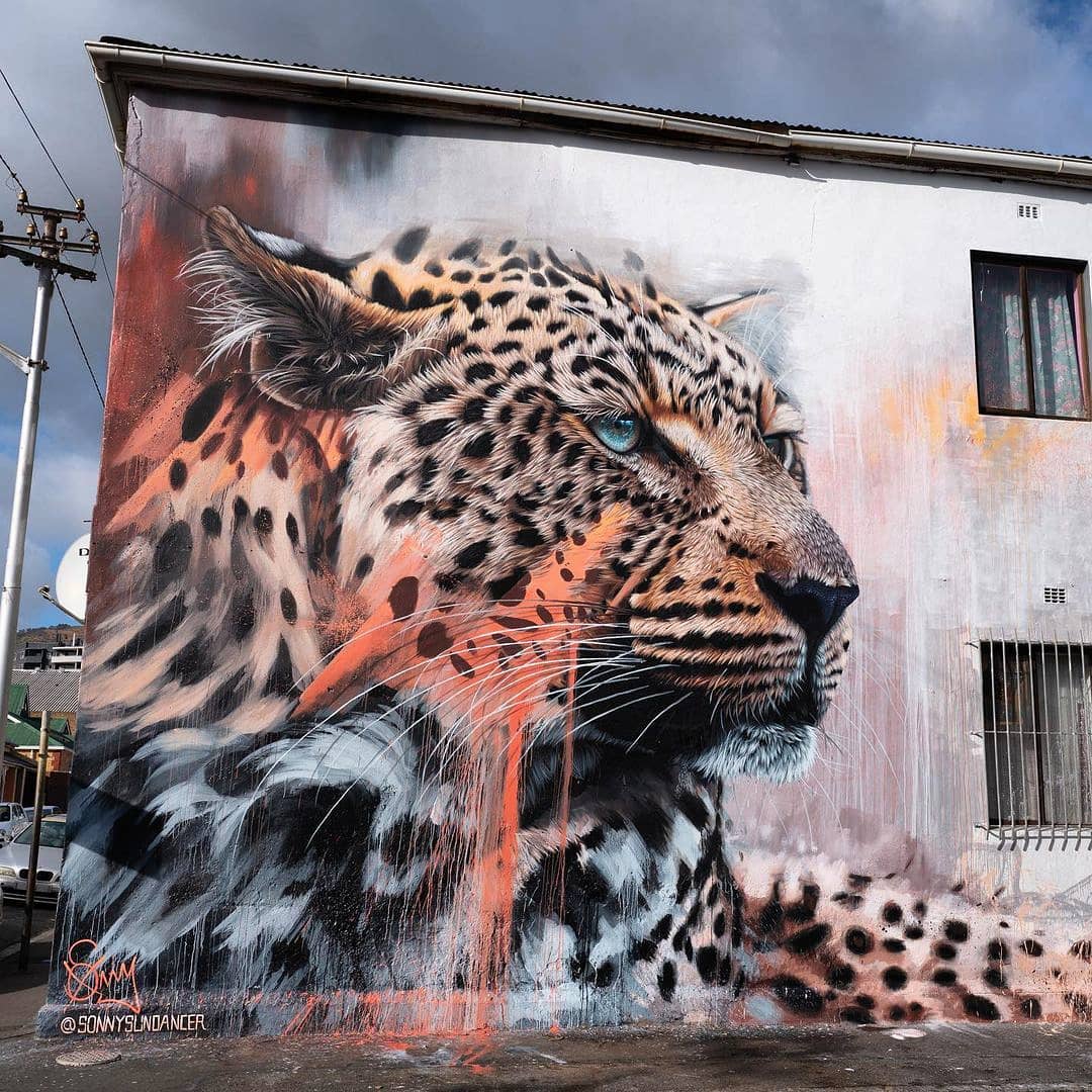 brababella's tweet photo. #Streetart by #Sonny @ #CapeTown, South Africa, for #IpafFestival SAhttps://barbarapicci.com/2021/03/08/streetart-sonny-cape-town-south-africa/ #arteurbana #urbanart #murals #muralism #tiger https://t.co/utxXWzKPp0