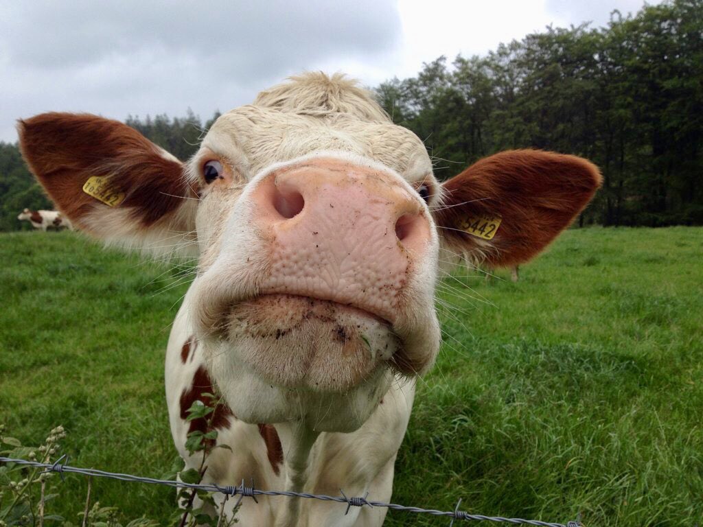 #IWD2021
A challenged world is an alert world and from challenge comes change.
So let's all choose to challenge.
Celebrate women's achievement. Raise awareness against bias. Take action for equality.
#ChooseToChallenge  #IWD2021