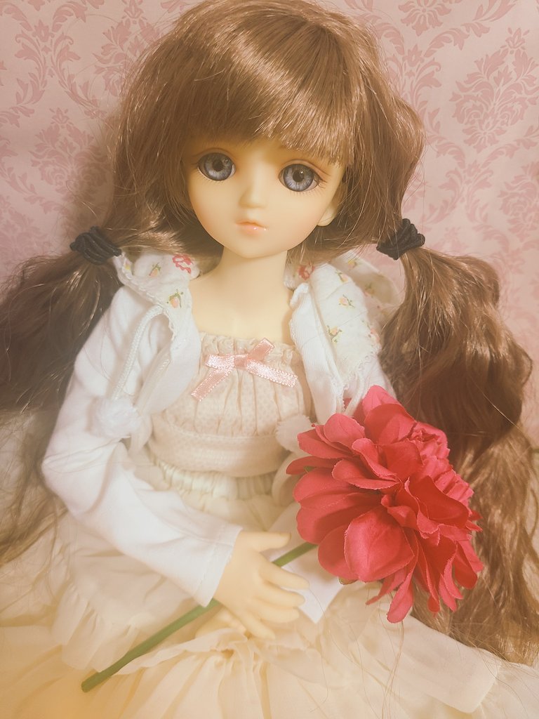 JAsJsnfrf3uPoKT's tweet photo. アーネストお花似合う~😍
#うちのこかわいい
#美加ヘッド
#msd2 https://t.co/171RnpcCws
