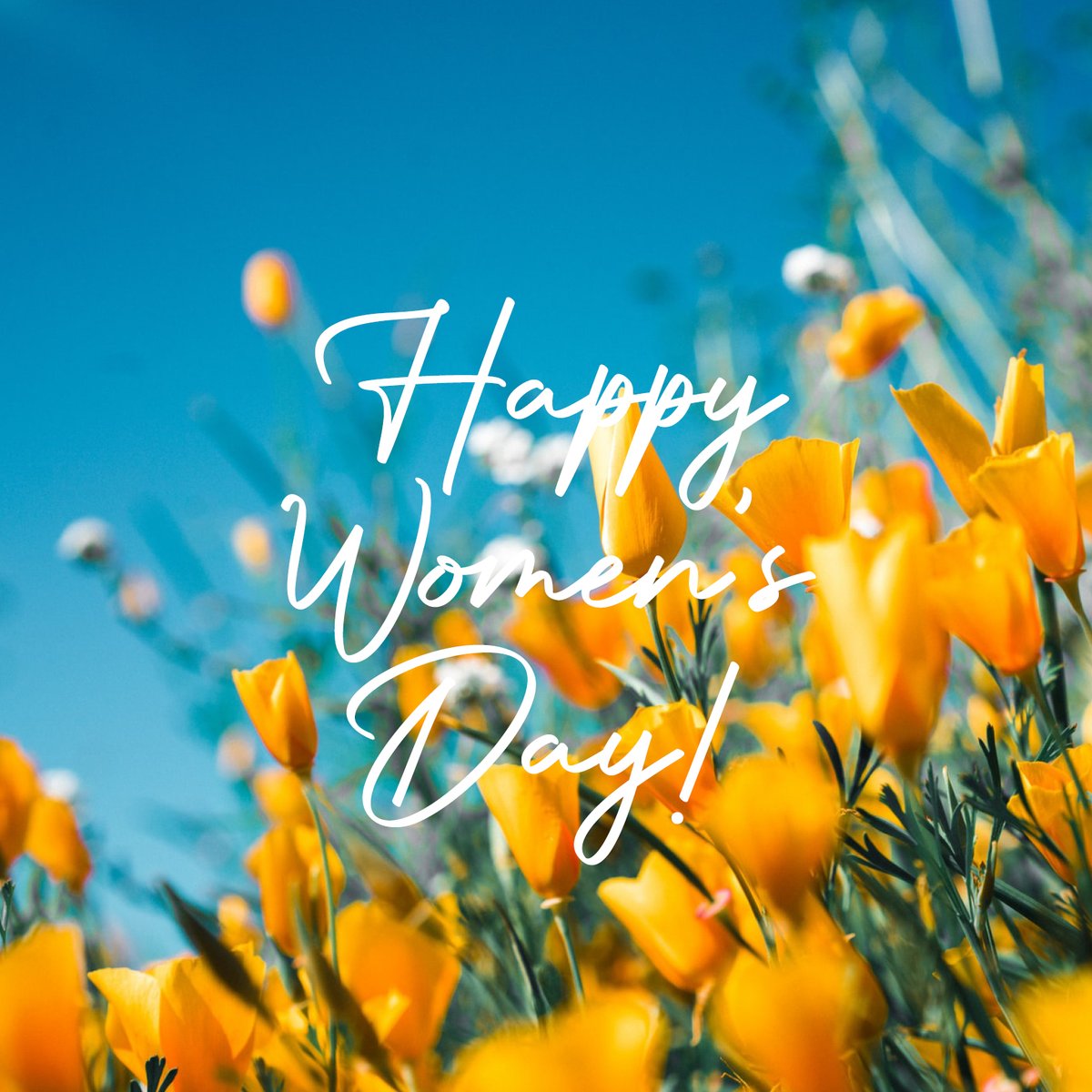 KD_Hotels's tweet photo. Today it's International Women's Day. A day to highlight equal rights. If we want to be equal we need to treat each other with respect and lift each other higher. 🙆‍♀️🌱
#internationalwomensday2021 #WomensDay 
@KD_Hotels  #santorini https://t.co/TDPYZXqHpu