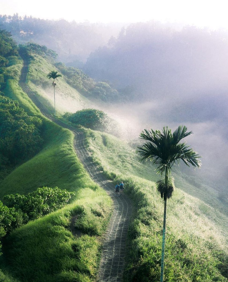 TheONELegian's tweet photo. Whether a breathtaking lush green surroundings or a magnificent clear blue oceans, Bali will always have something for you. Happy Monday!
_____
Location : Bukit Campuhan, Ubud, Bali
Credit to @balibuddies https://t.co/Yd9IqePXsR