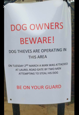 *WARNING* Dog owners in Bushy Park. Please be careful. Another attempt to steal a dog, this time near Laurel Gate. Please RT <a href="/theroyalparks/">The Royal Parks</a> @bushyparkrun <a href="/teddingtonvet/">Vet4life - Teddington</a> <a href="/vets_alpha/">Alpha Vets</a> <a href="/BushyParkVets/">Bushy Park Vets</a> @MPSTeddington #dogs  #BushyPark #Teddington #Hampton
