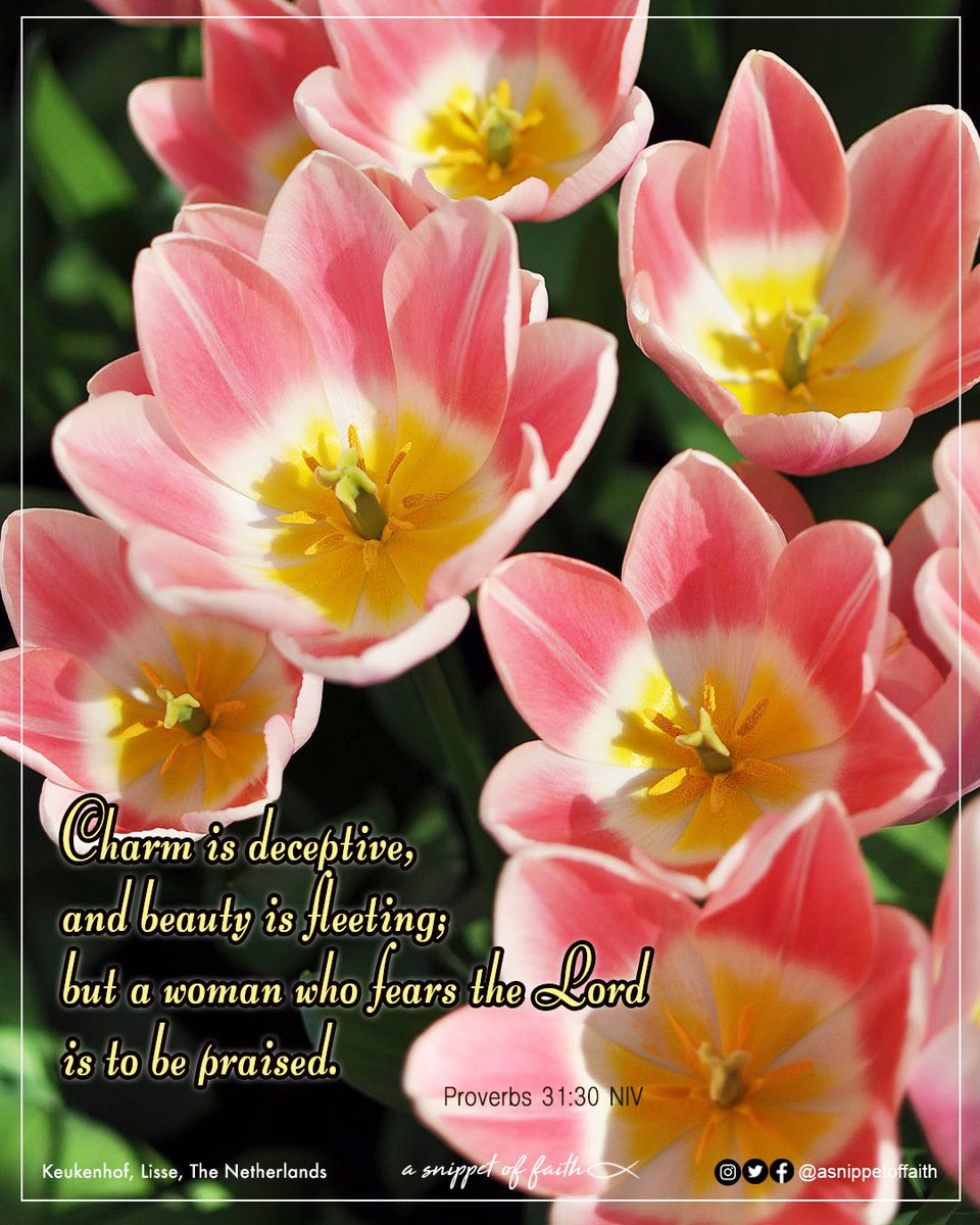 asnippetoffaith's tweet photo. 🌷 Happy Women's Day!
We celebrate and appreciate all the wonderful ladies out there! ❤️

#happywomensday #happyinternationalwomensday https://t.co/nhuxbs8W04