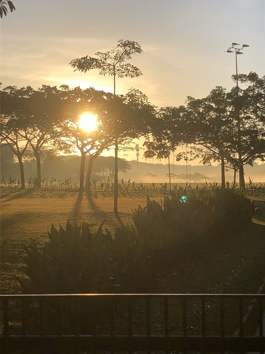MCMWellbeing's tweet photo. A beautiful morning and a timely quote - “if you want others to be happy, practice compassion. If you want to be happy, practice compassion.” https://t.co/62rRLF1x2F