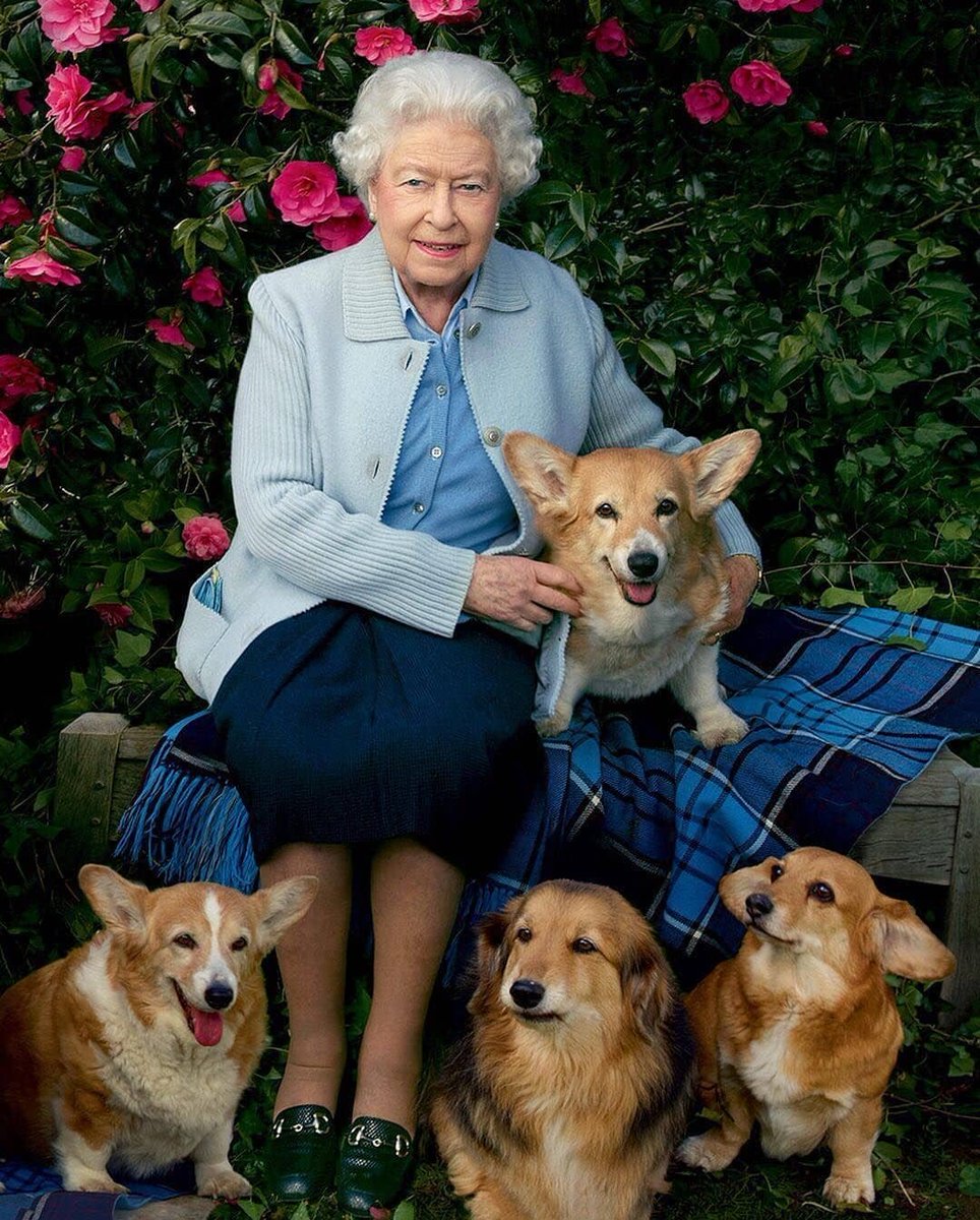 Retweet and show your support for our Queen 👑 #godsavethequeen #ElizabethII #royalfamily #BritishMonarchy #hermajestythequeen #thequeen