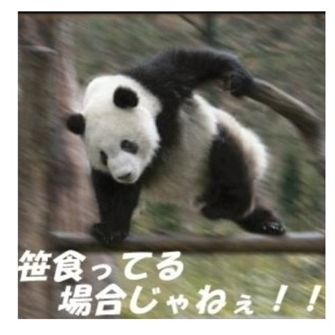 浩太 イラストお勉強中 على تويتر 笹食ってる場合じゃねえ 浩太 イラストお勉強中 على تويتر 笹食ってる場合じゃねえ