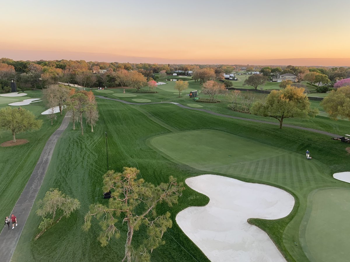 Spencer Nelson tweet media