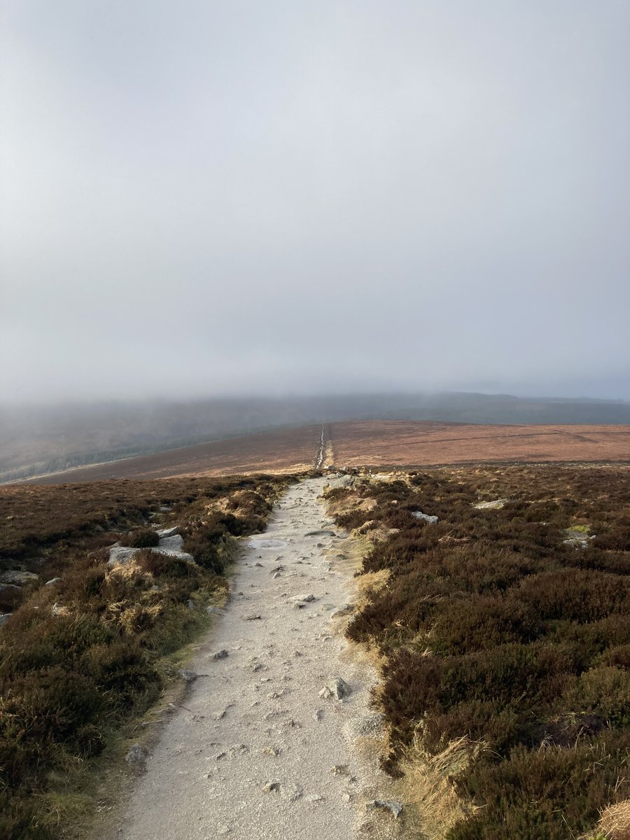 Irish Ice Age Trail tweet media