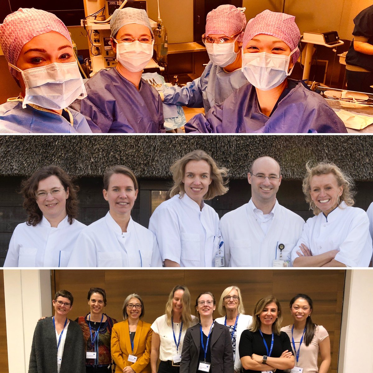 David Zimmerman (@zimnl) on Twitter photo #InternationalWomensDay Thanks to all the incredible women I get to work with in <a href="/ETZnl/">ETZ</a> , <a href="/escp_tweets/">European Society of Coloproctology</a> , <a href="/YouESCP/">Young ESCP</a> and <a href="/EBSQcolo/">EBSQ Coloproctology</a> ! #InternationalWomensDay Thanks to all the incredible women I get to work with in <a href="/ETZnl/">ETZ</a> , <a href="/escp_tweets/">European Society of Coloproctology</a> , <a href="/YouESCP/">Young ESCP</a> and <a href="/EBSQcolo/">EBSQ Coloproctology</a> !