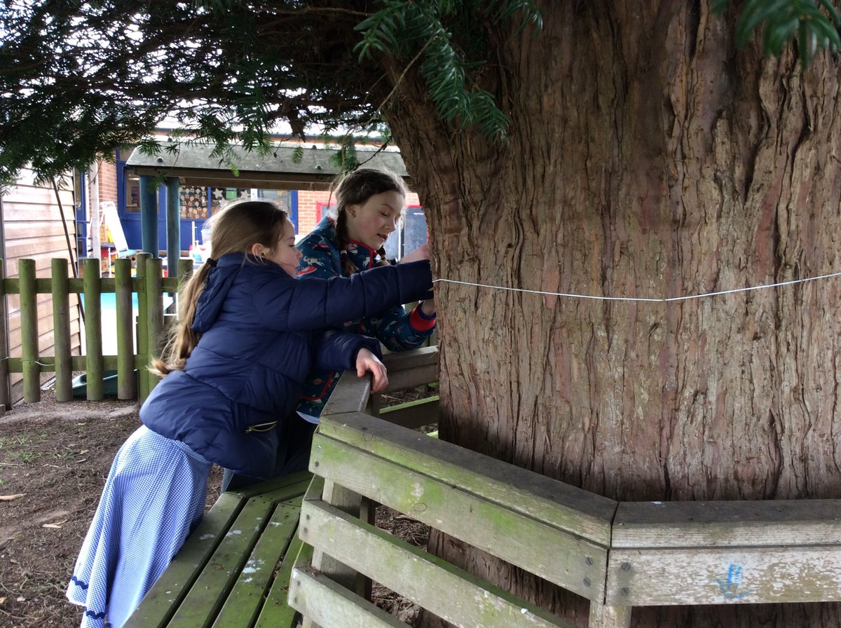 What Is A Multi Academy Trust Pathfinder Multi Academy Trust