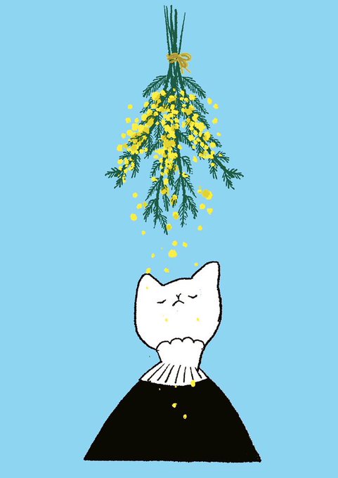 「ソロ 白い猫」のTwitter画像/イラスト(新着)｜21ページ目
