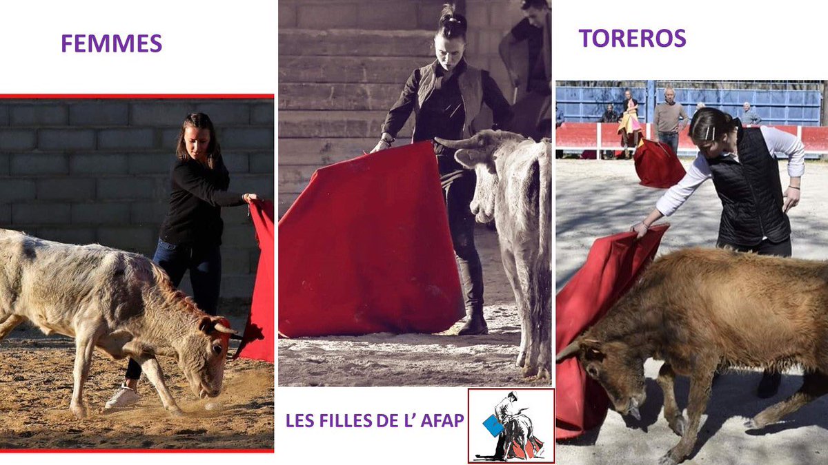 Pour cette #journeedroitsdesfemmes gros plan sur les femmes toreros de l’Association Françaises des Aficionados Practicos ! Notre article à retrouver par ici 👉🏻 culturestaurines.com/node/330