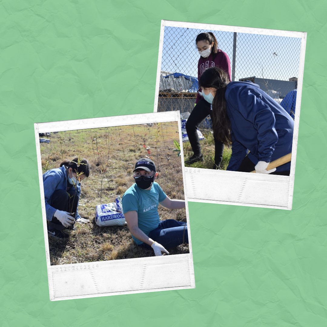 NHECHSCAC's tweet photo. On Saturday, March 6th, the Climate Activism Club had the privilege to plant close to 1,200 trees at Hidalgo Park. 

Thanks to our members, these trees will greatly help our environment and serve as a contributing factor to helping tackle the ongoing issue that is climate change. https://t.co/1qqTxg4ILI